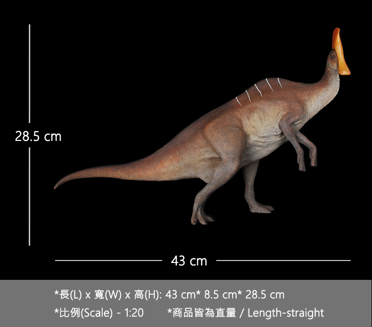 卢枫山-扇冠大天鹅龙 olorotitan arharensis