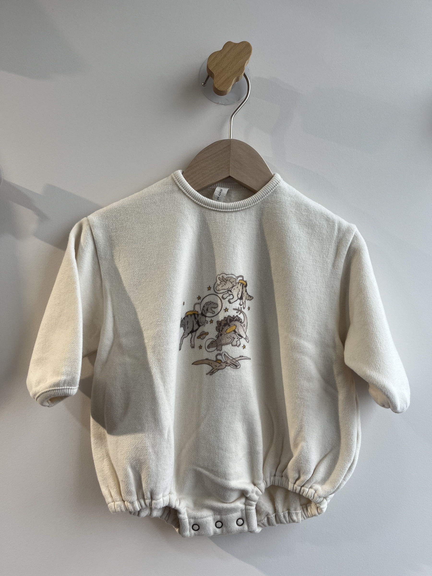 image_24C23C79-8681-47DD-92D5-121AFB79FC35_1768981008