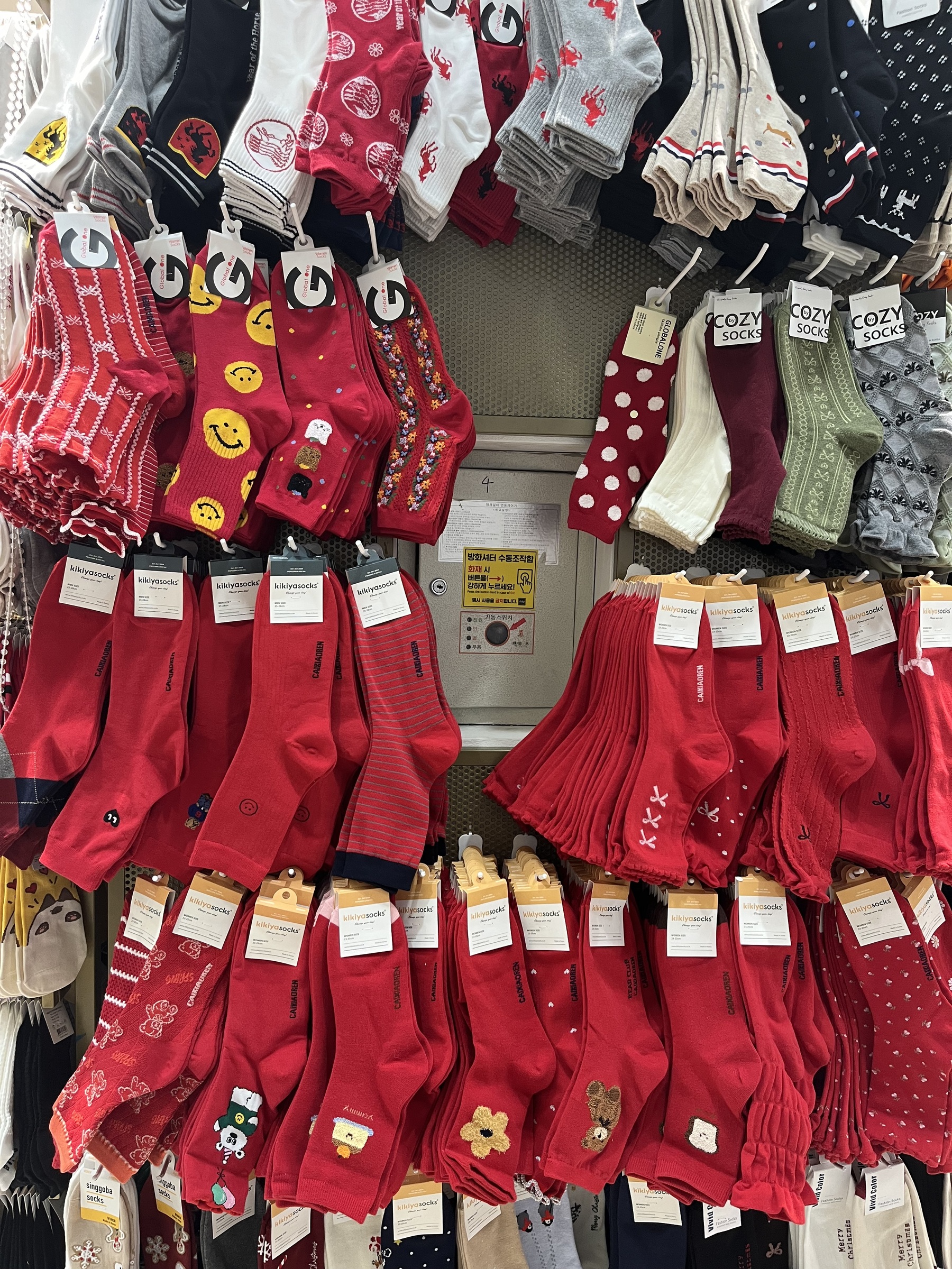 image_A8A09F8D-17E1-4F63-BC51-3D1091F98D65_1769354082