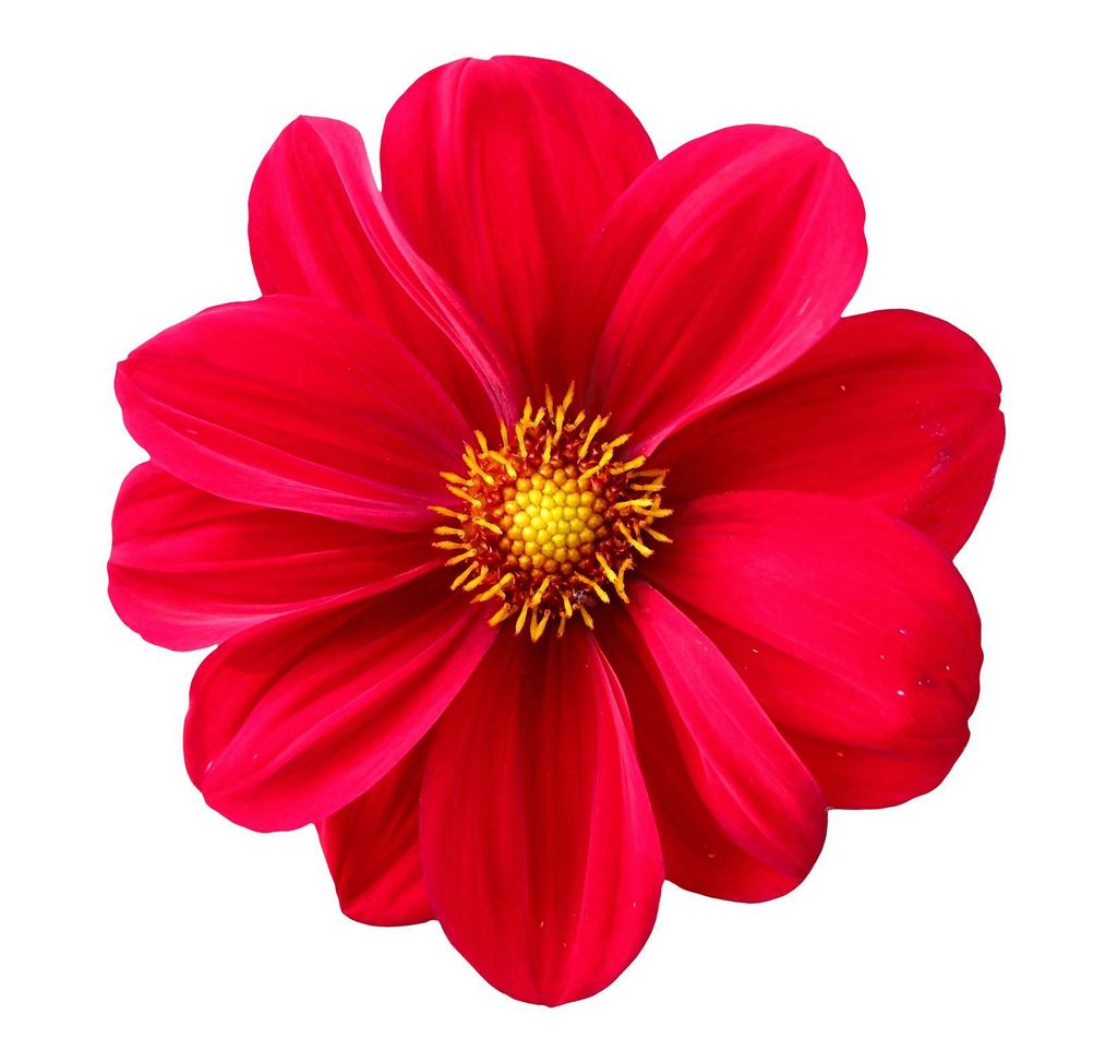 00a7e6e41f3d455eb139b98116785e9f~tplv-aphluv4xwc-origin-jpeg