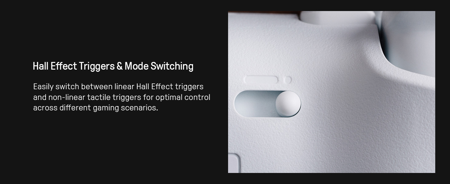 7a386570-6179-448c-a9dd-dc9a41793cd2.__CR0,0,1464,600_PT0_SX1464_V1___