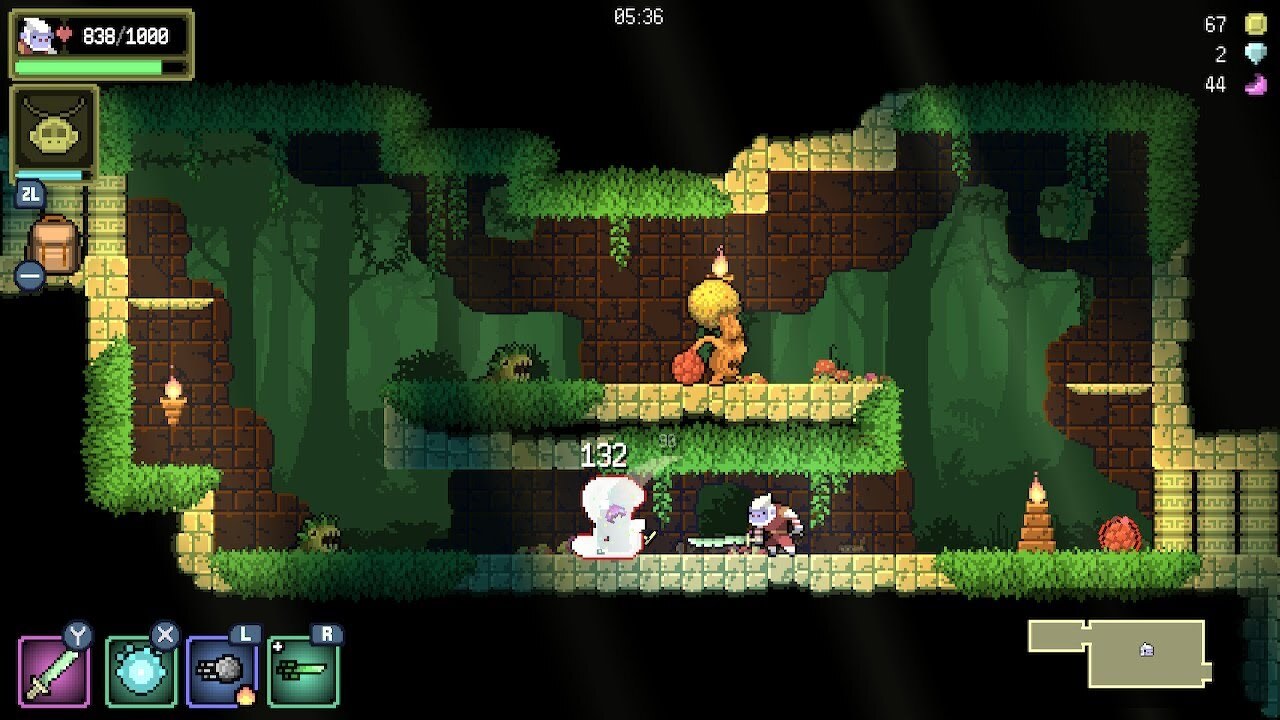 Nintendo Switch-Dunjungle-gameplay 1