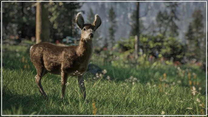 PlayStation 5-Park Ranger Simulator-gameplay