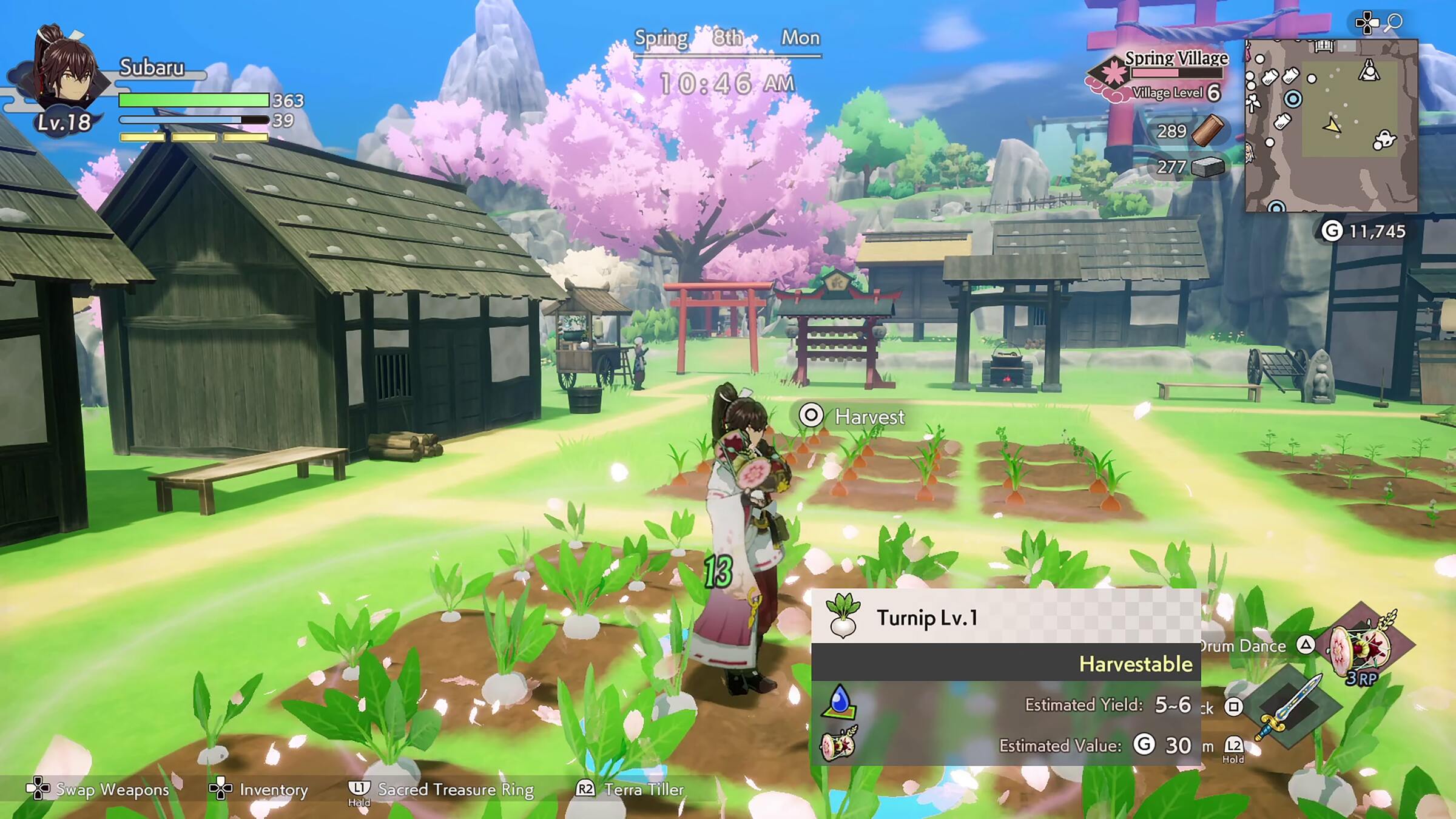 PlayStation 5-Rune Factory Guardians of Azuma-gameplay 11