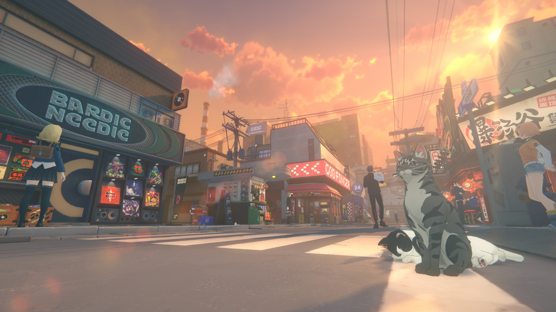 Zenless Zone Zero Collector Edition (7)