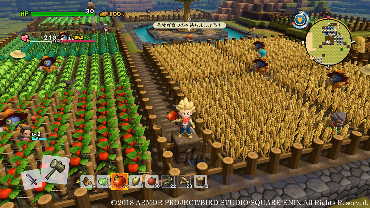 Nintendo Switch-Dragon Quest Builders 2-gameplay 9