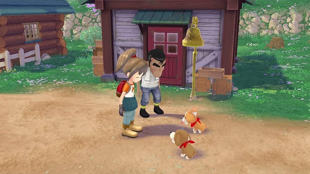 Nintendo Switch-Story of Seasons A Wonderful Life Standard Edition-gameplay