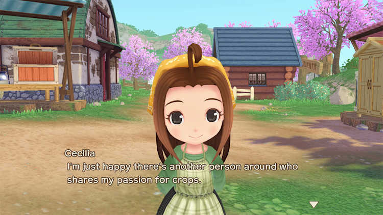 Nintendo Switch-Story of Seasons A Wonderful Life Standard Edition-gameplay 4