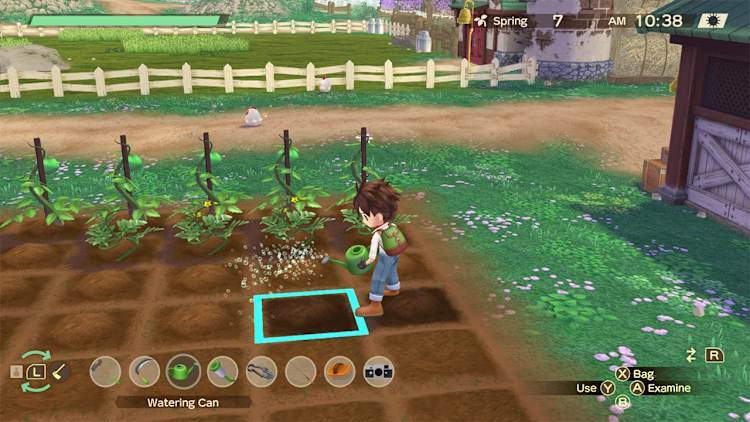Nintendo Switch-Story of Seasons A Wonderful Life Standard Edition-gameplay 3