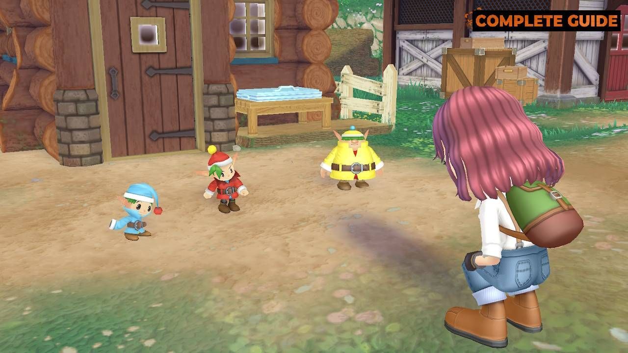 Nintendo Switch-Story of Seasons A Wonderful Life Standard Edition-gameplay 7