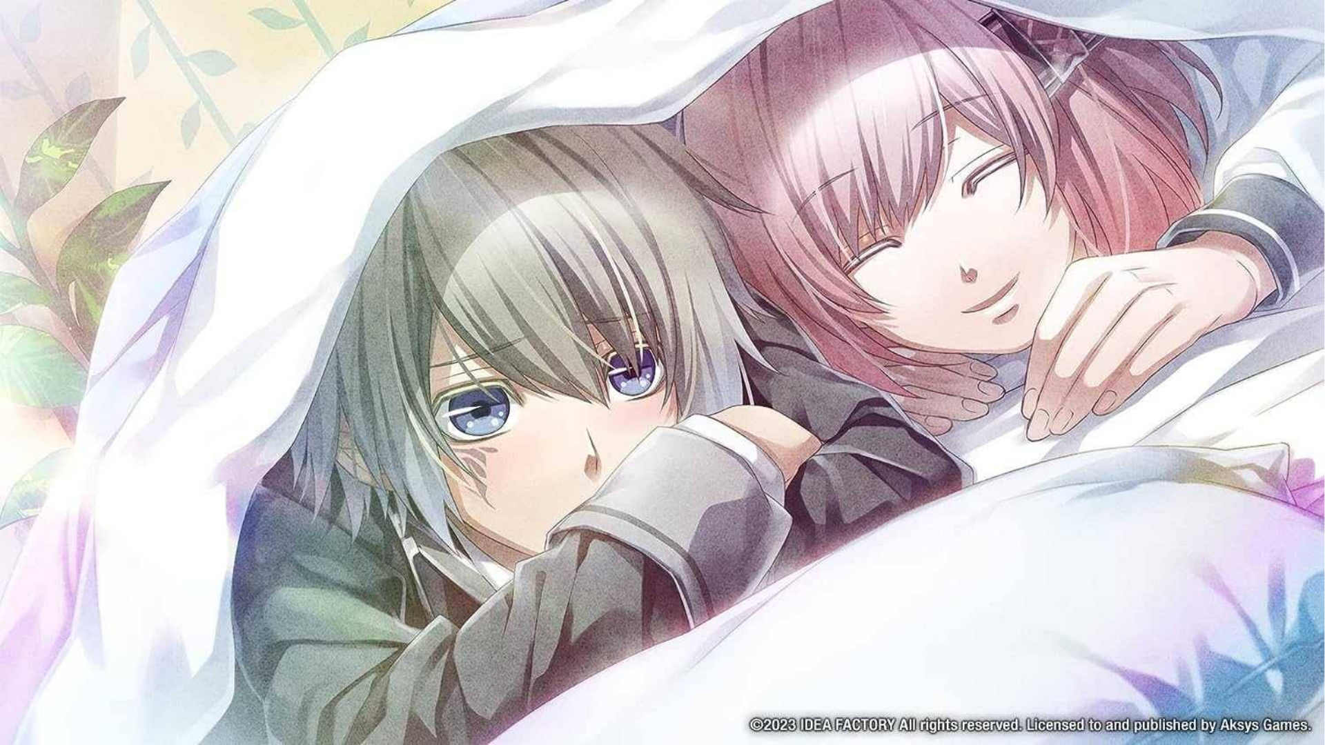 Nintendo Switch Game Norn 9 Last Era Limited Edition  (5)