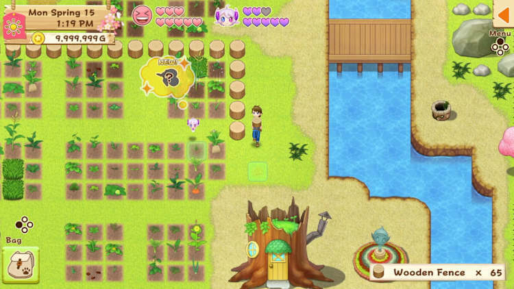 Nintendo Switch-Harvest Moon Light of Hope Special Edition-gameplay 1