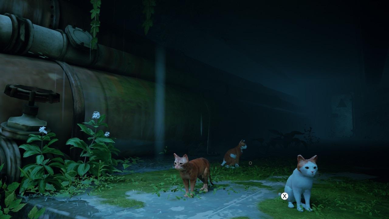 Nintendo Switch-Stray-gameplay 5