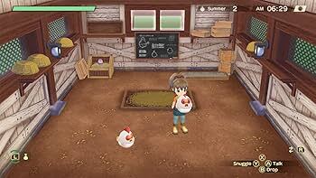 Nintendo Switch-Story of Seasons A Wonderful Life Premium Edition-gameplay 2