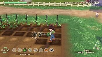 Nintendo Switch-Story of Seasons A Wonderful Life Premium Edition-gameplay 1