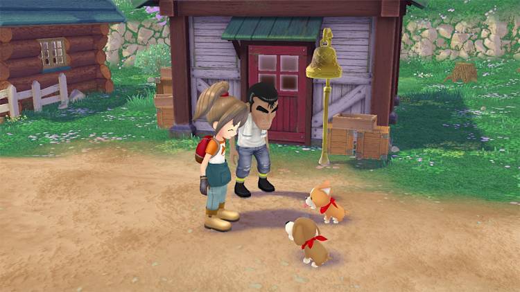 Nintendo Switch-Story of Seasons A Wonderful Life Premium Edition-gameplay 3