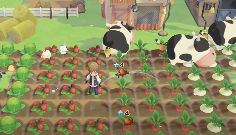 Nintendo Switch-Story of Seasons Pioneers of Olive Town-gameplay 3