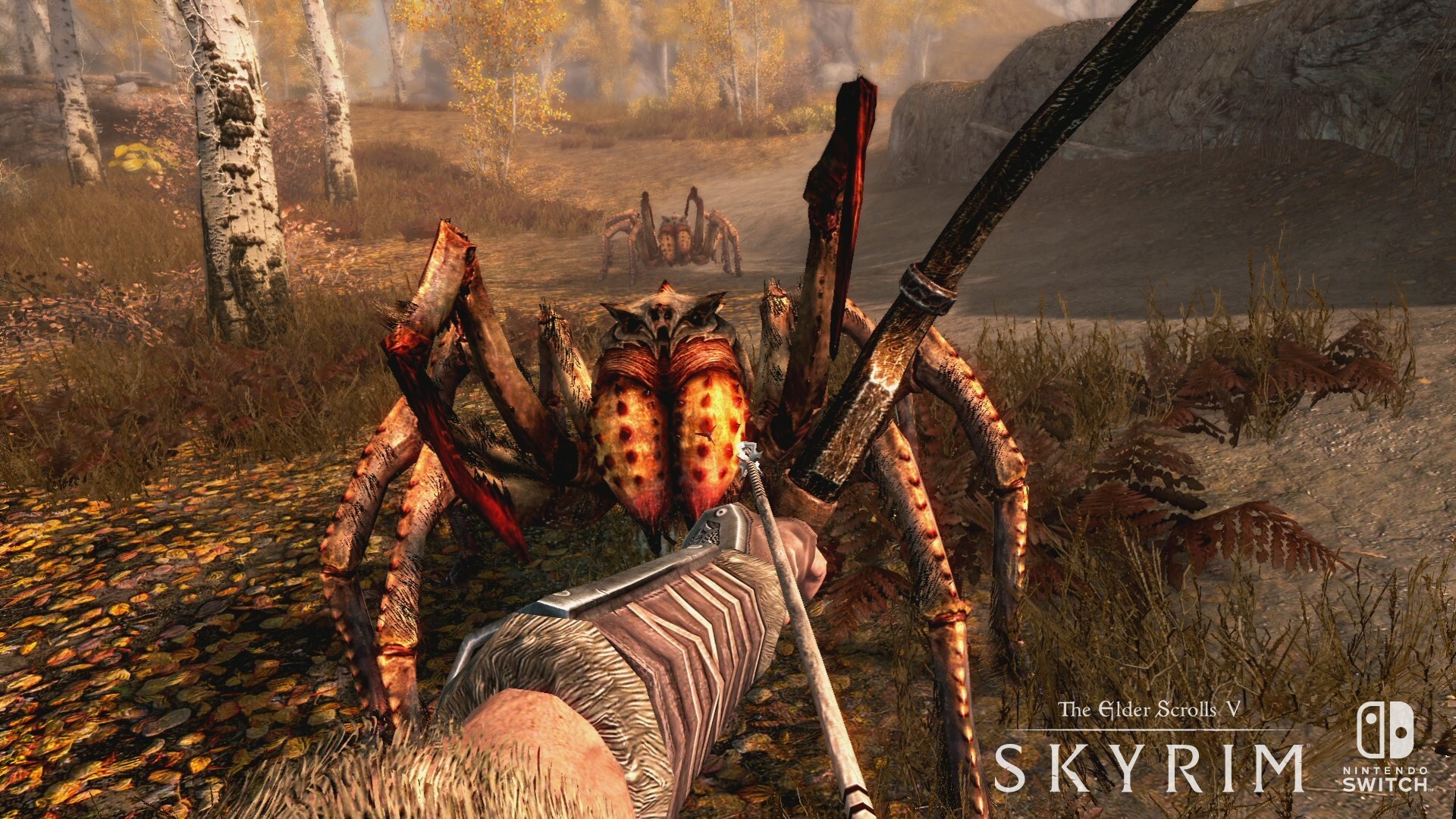 Nintendo Switch-The Elder Scroll Skyrim-gameplay 7