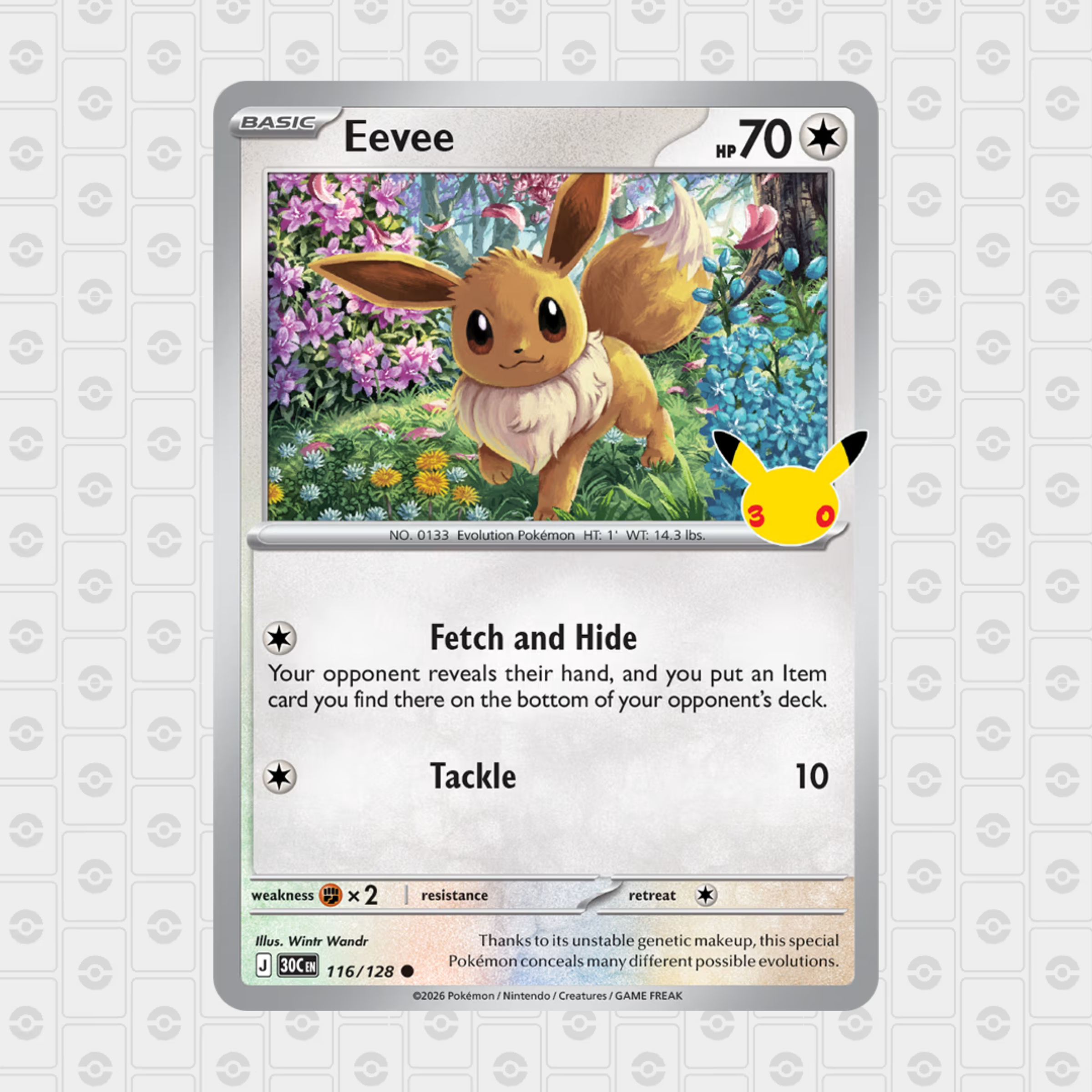 30th Celebration 2-Pack Blister 10-10666-102 (4)