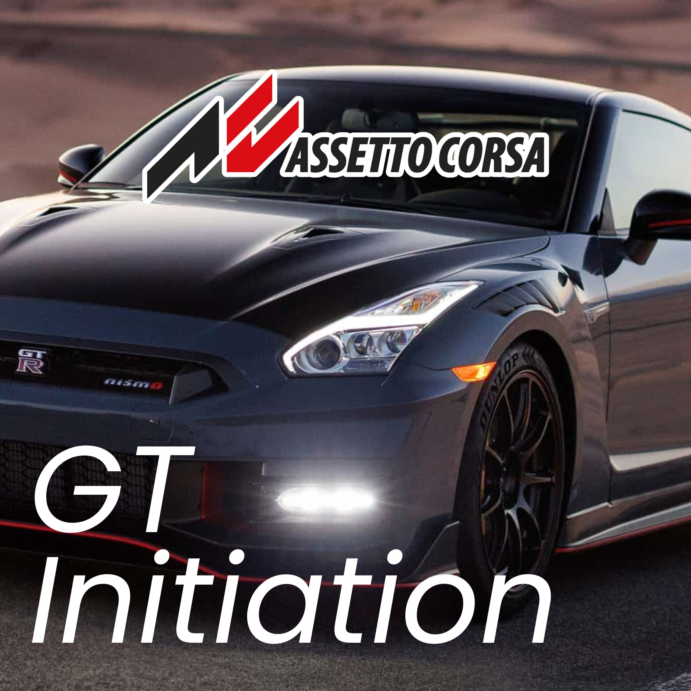 Racing Simulator Assetto Corsa  (2)