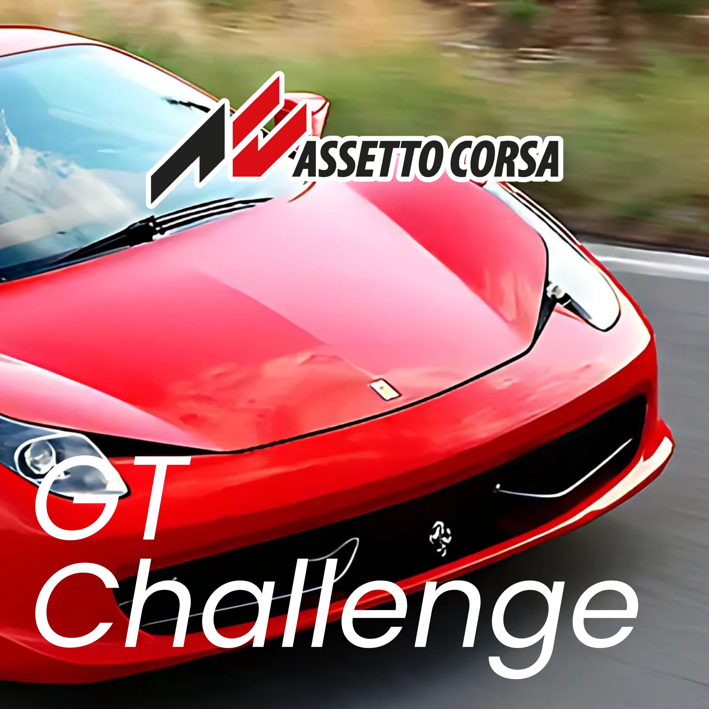 Racing Simulator Assetto Corsa  (3)