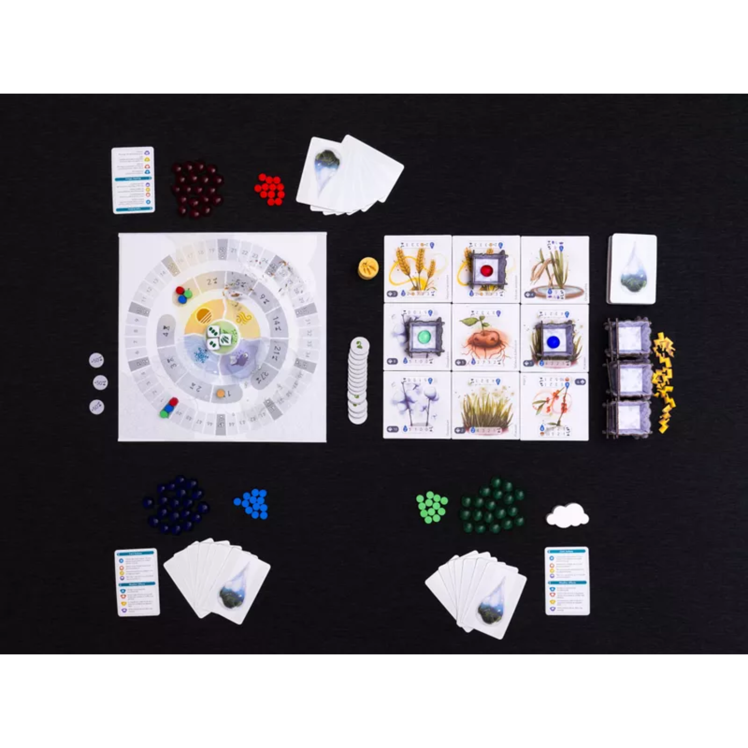 Archwizard Boardgame Rental Petrichor (5)