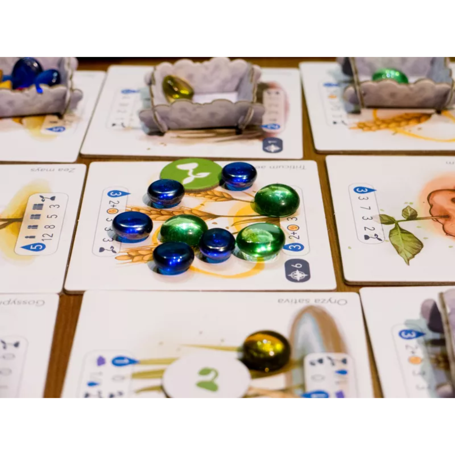 Archwizard Boardgame Rental Petrichor (1)