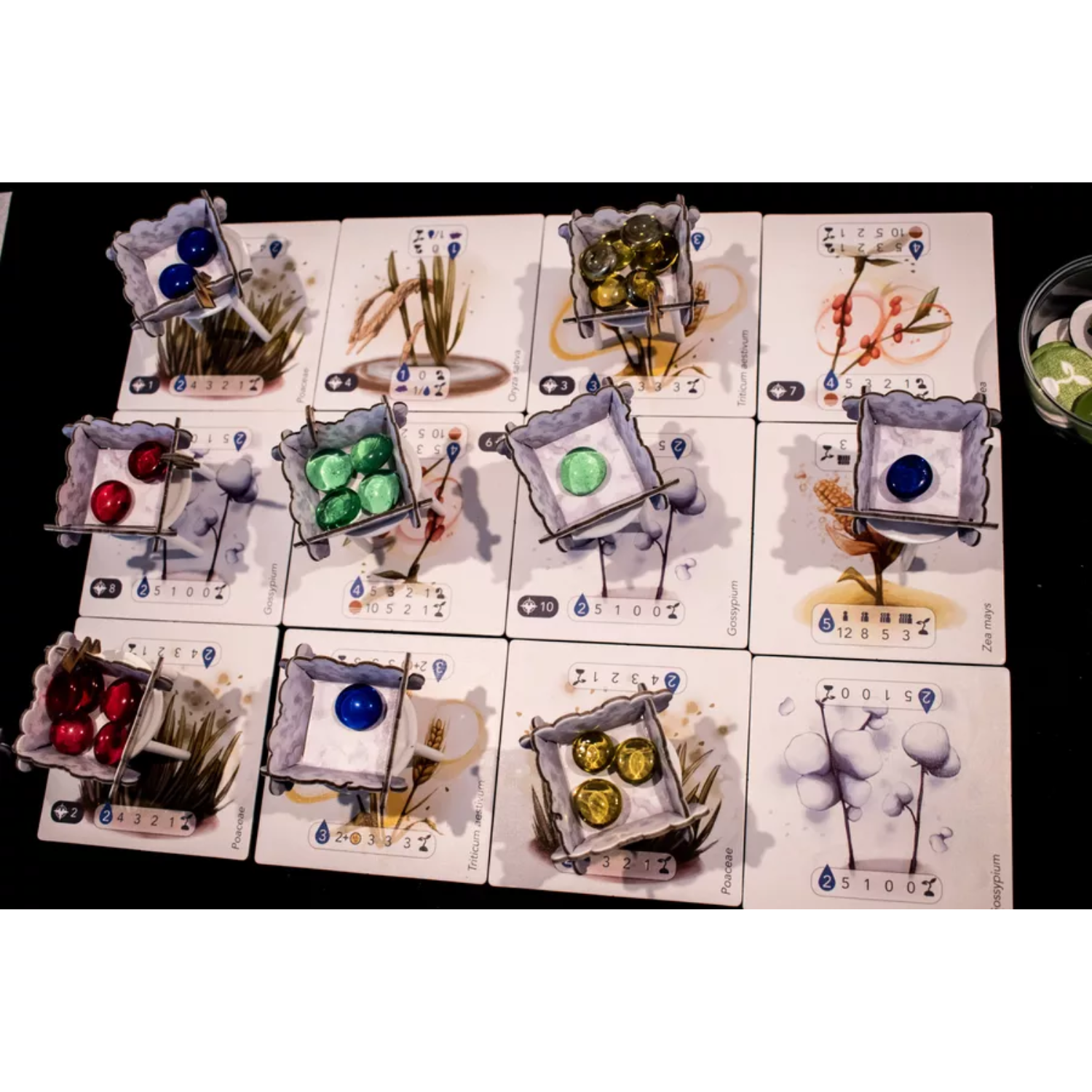 Archwizard Boardgame Rental Petrichor (4)