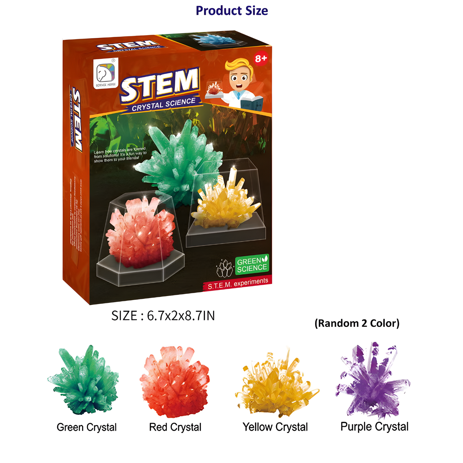 Science Horse Grow Your Crystals Crystal Plant - Educational Toy (Toys & Board Games) QH123635 (4)