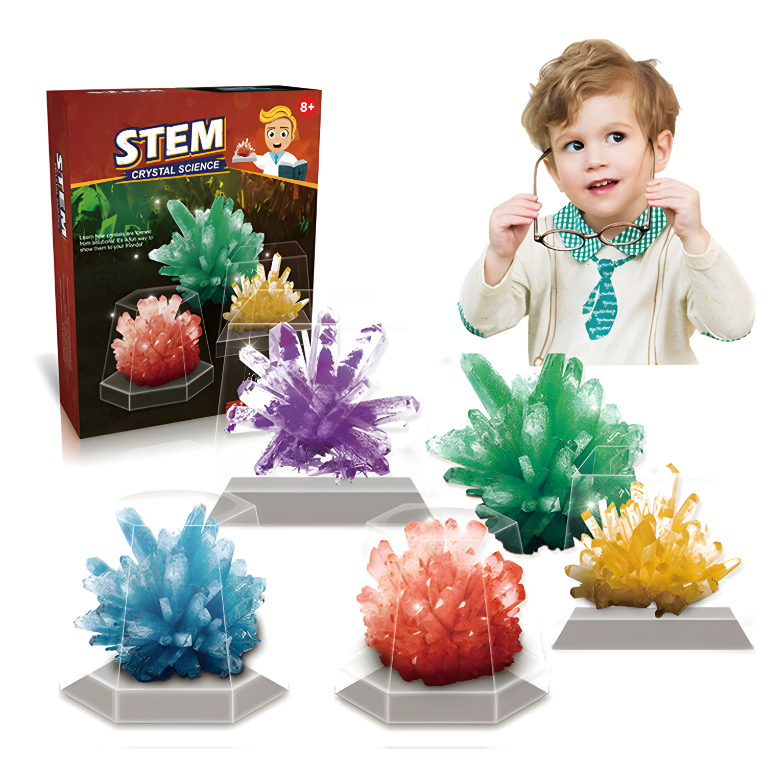 Science Horse Grow Your Crystals Crystal Plant - Educational Toy (Toys & Board Games) QH123635 (2)