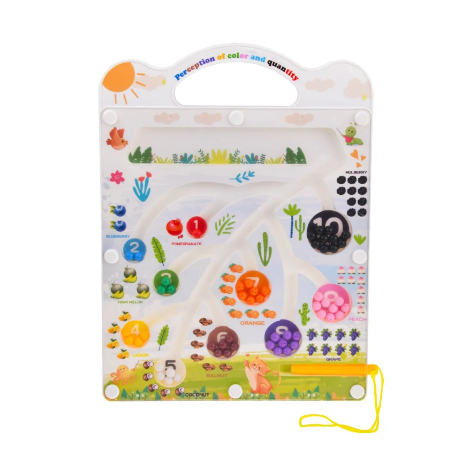 TELSCH Magnetic Maze Tracing Board Fruit Theme - Early Learning Education ( (5)