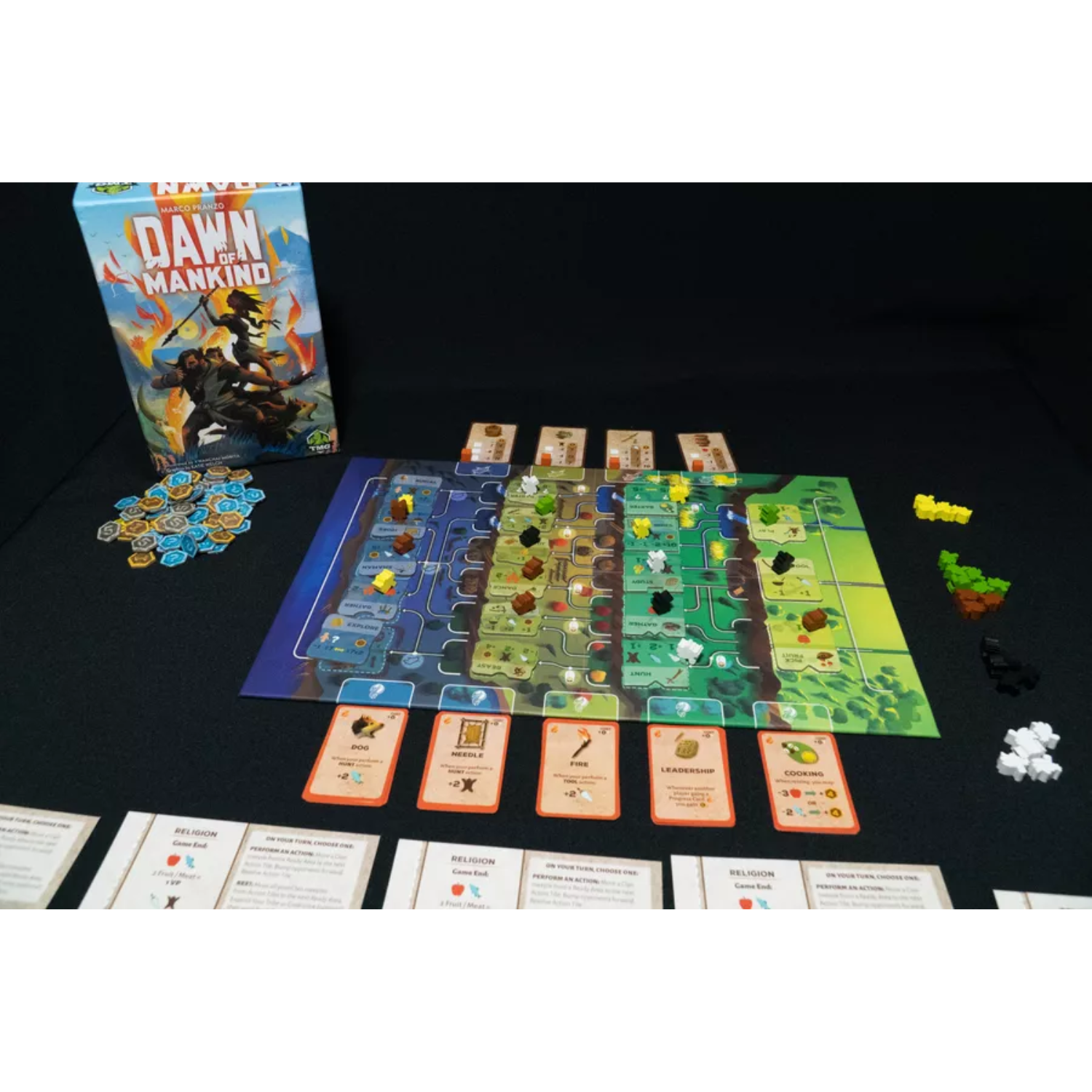 Archwizard Boardgame Rental Dawn of Mankind (2)