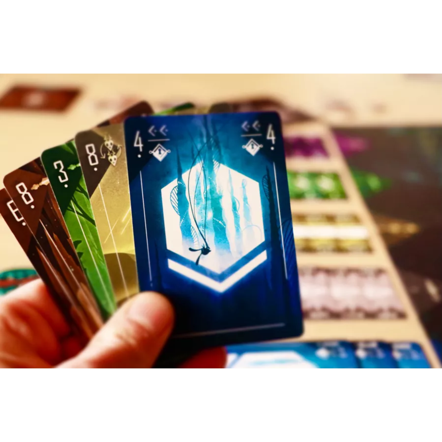 Archwizard Boardgame Rental Shamans (5)