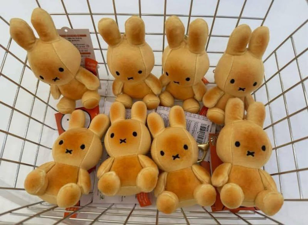 621826912_25845257308427416_4249955004235386571_n