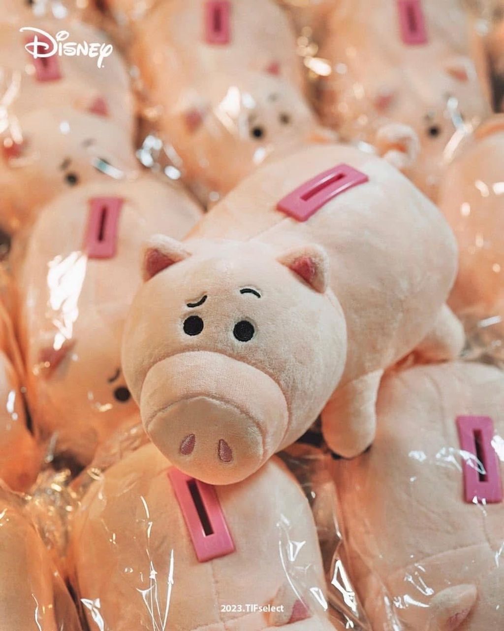 515134026_24079086451711186_7503289413099099004_n