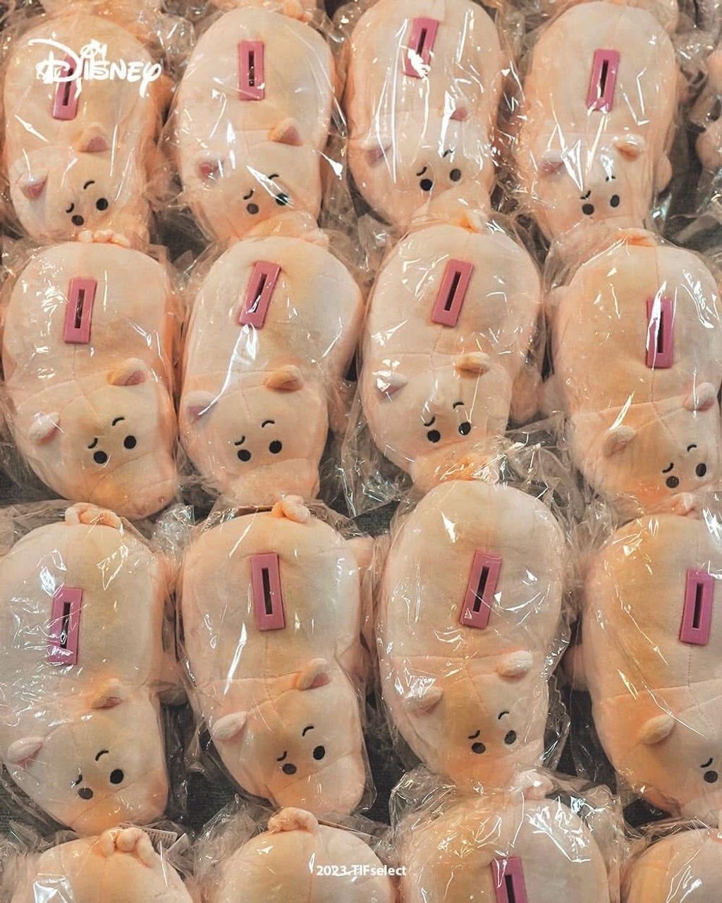 515438125_24079086478377850_4269478860283782590_n