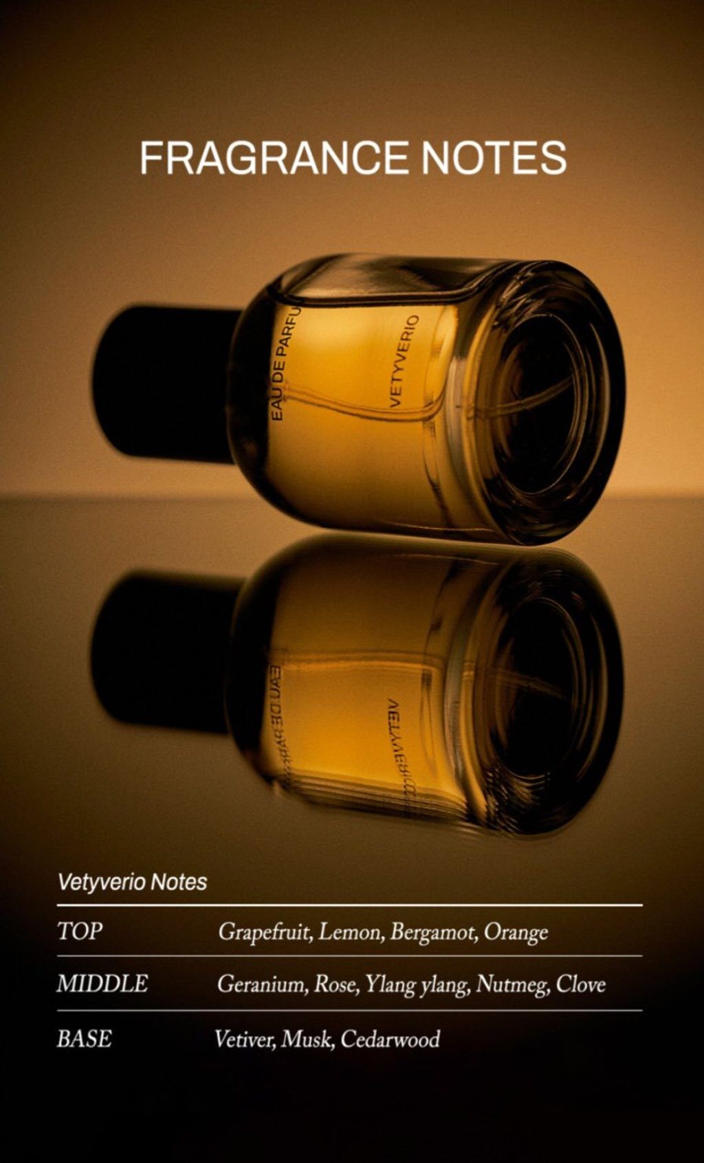 556105092_24796436226642868_6575712225080711064_n