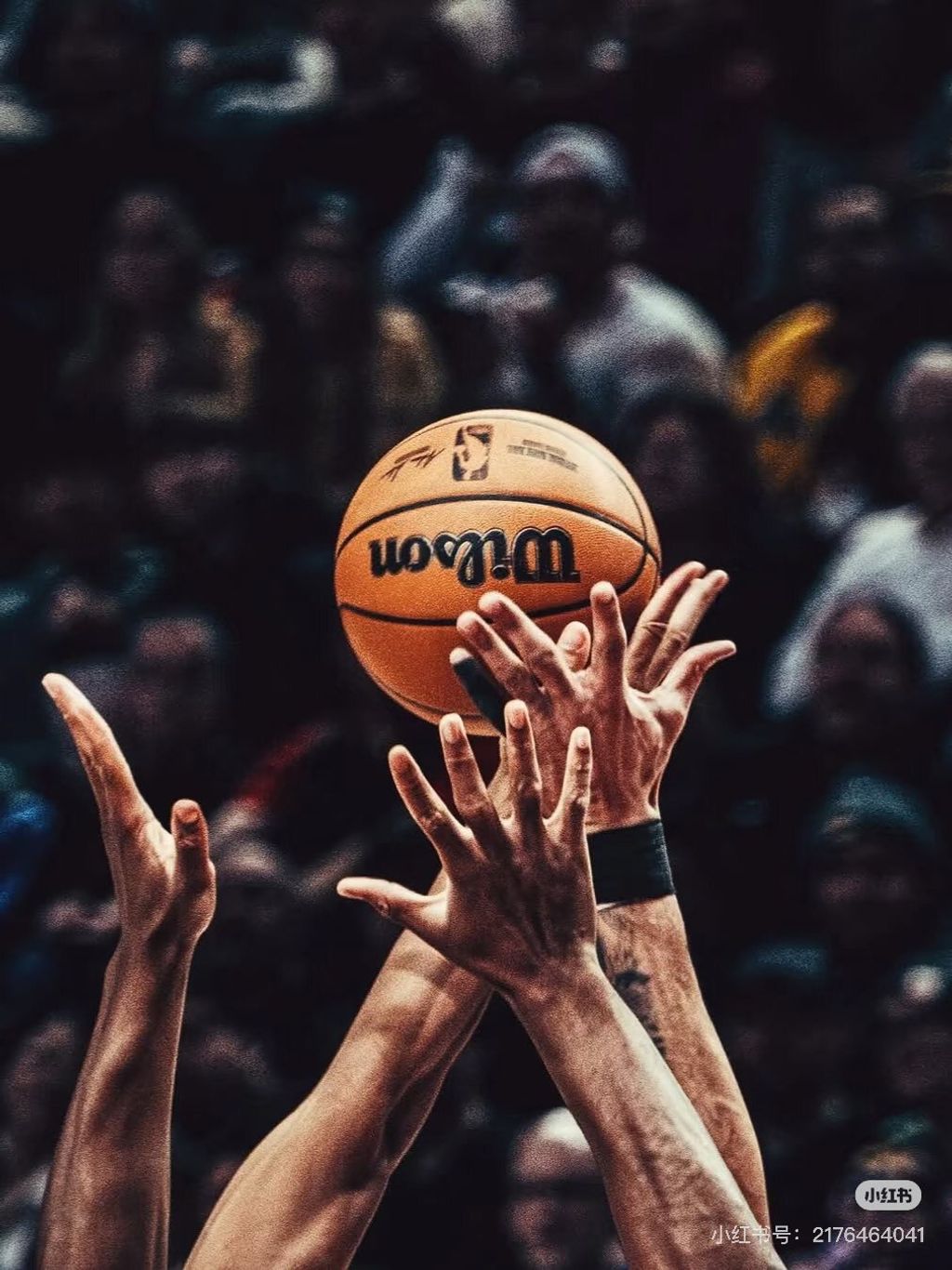 562398122_24931563059796850_1735993086960874595_n