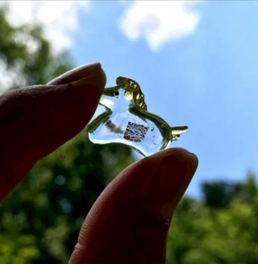 576895354_25153486214271199_3942187785157834848_n