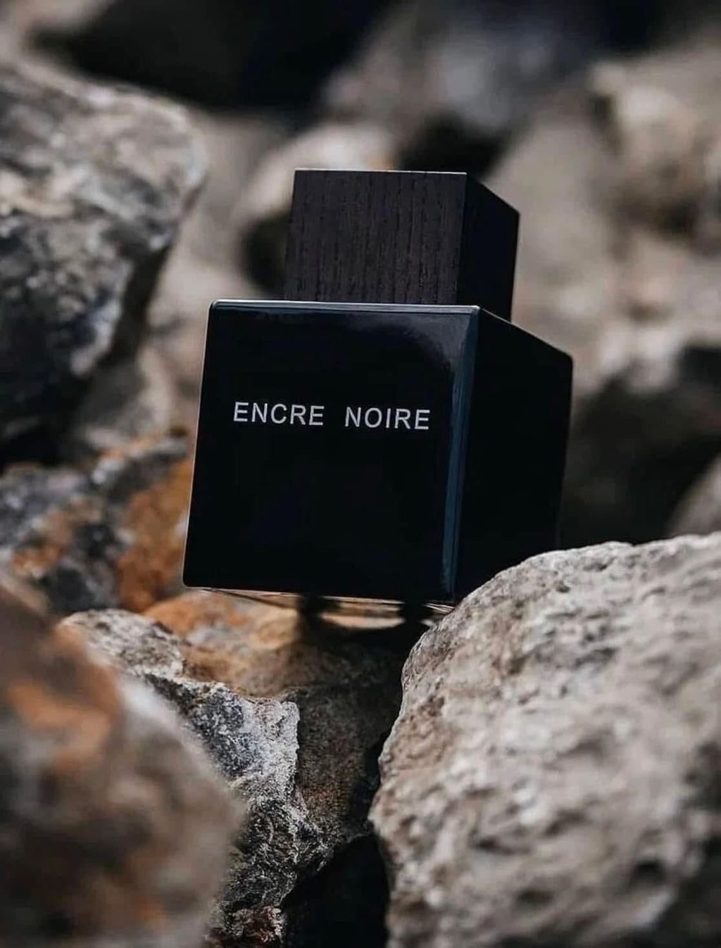 611621064_25687383537548128_8111452962280795842_n