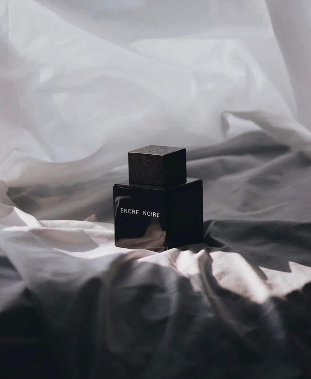 612130146_25687383390881476_8765534458005413918_n