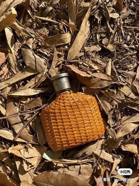 604823777_25564156929870790_6003925344371690969_n