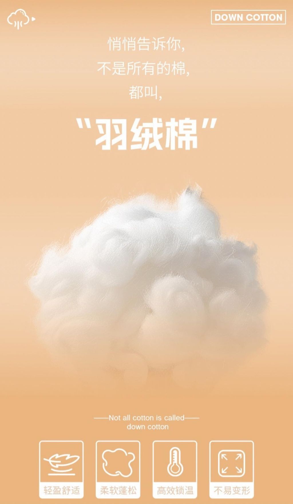 611254735_25678500538436428_5832690084931822024_n