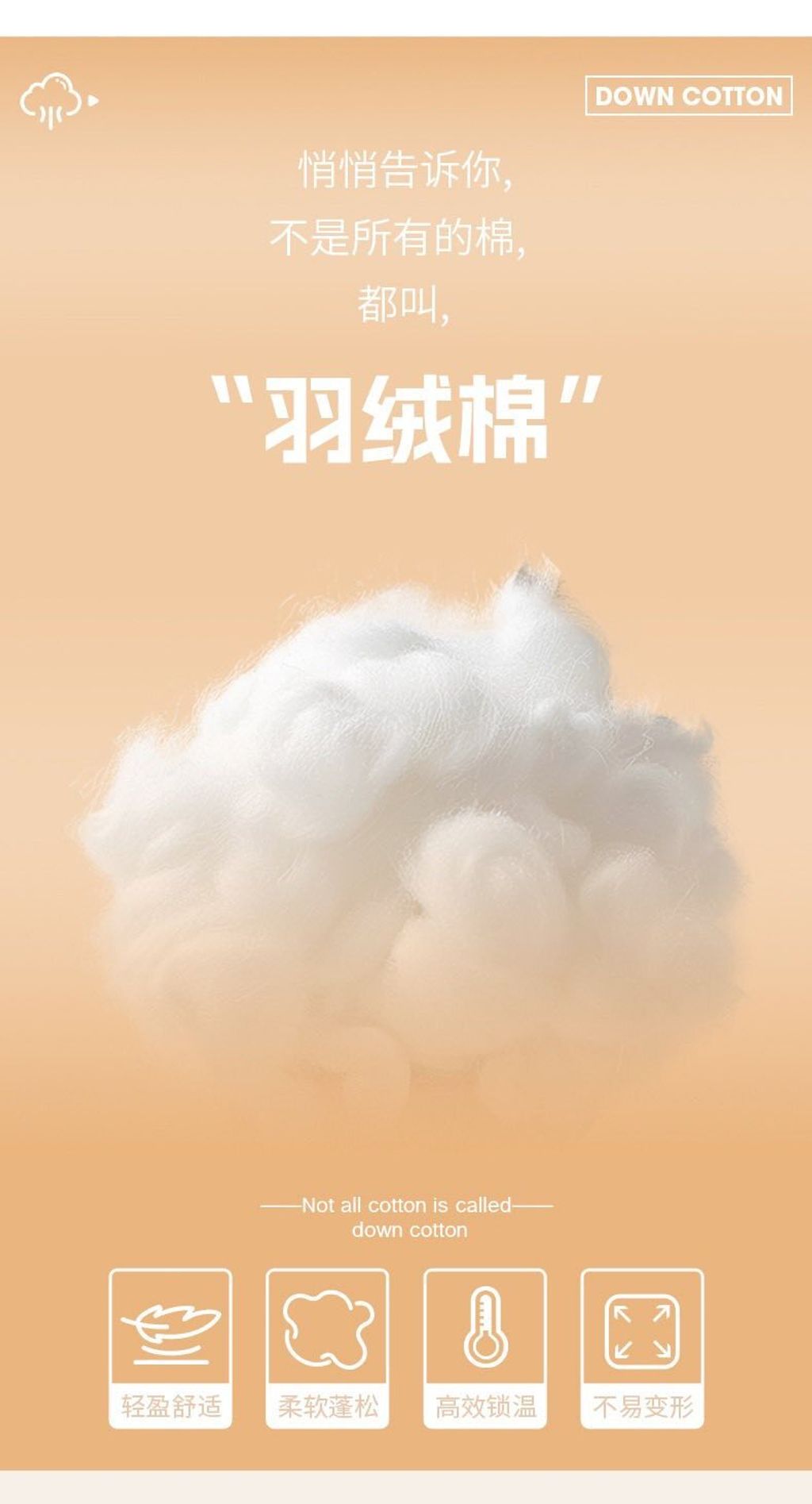 611133475_25672979608988521_4720386310263134473_n