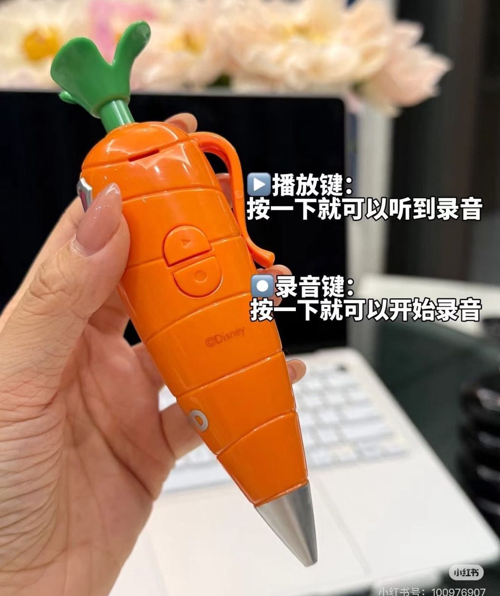 594071431_25422131810739970_3602864812765478485_n