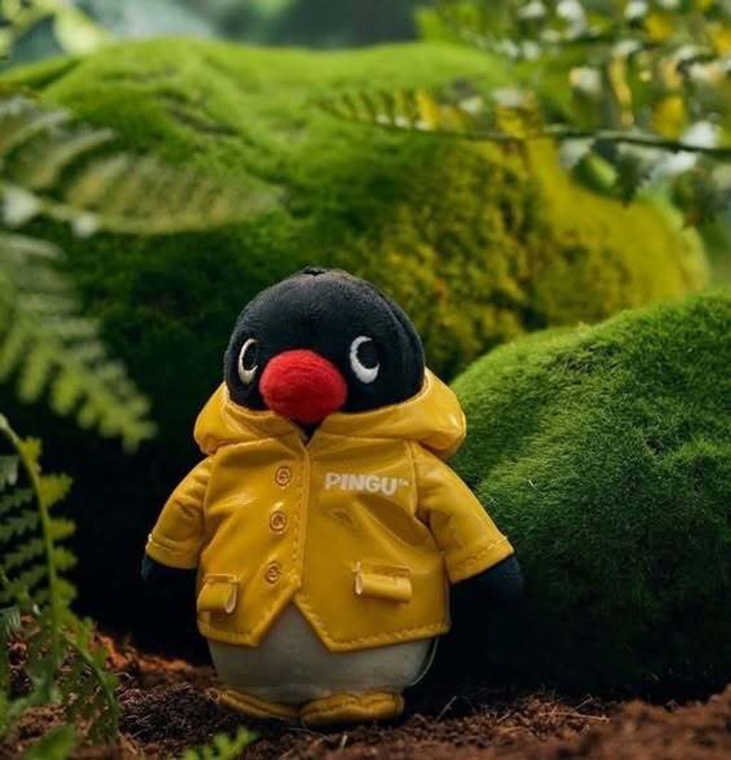 605611855_25610197195266763_3604688244854724155_n