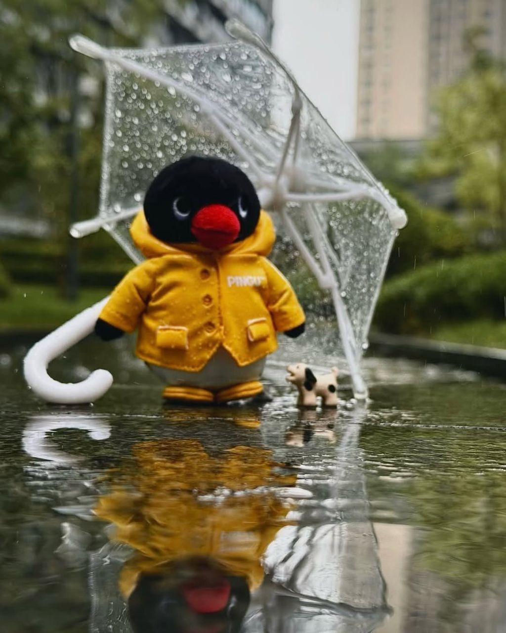 607674488_25610198041933345_7853167155168078317_n