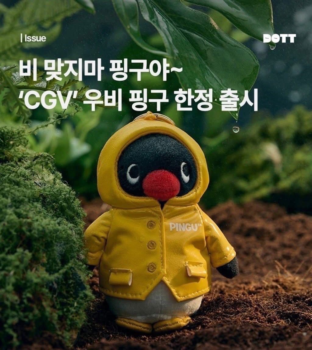 605132642_25610197398600076_3091162154712409047_n