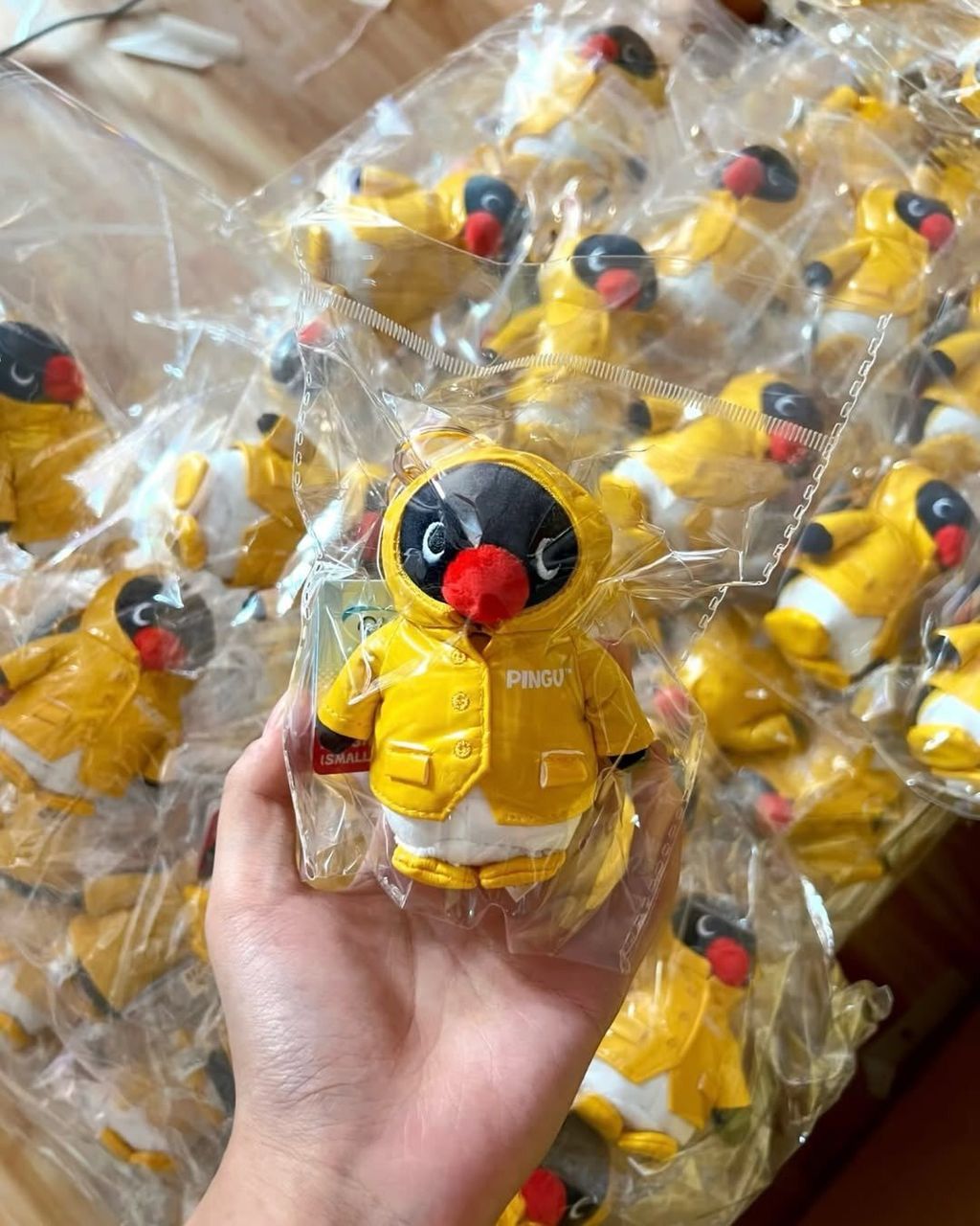 604903042_25610197441933405_4505771063620113919_n