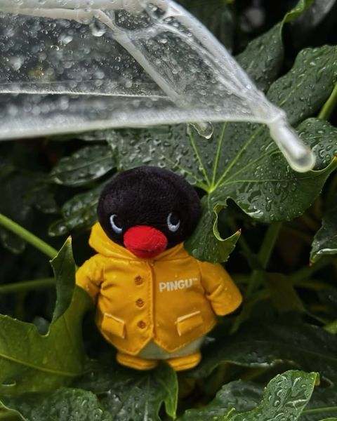 605068005_25610197945266688_226942097357701243_n